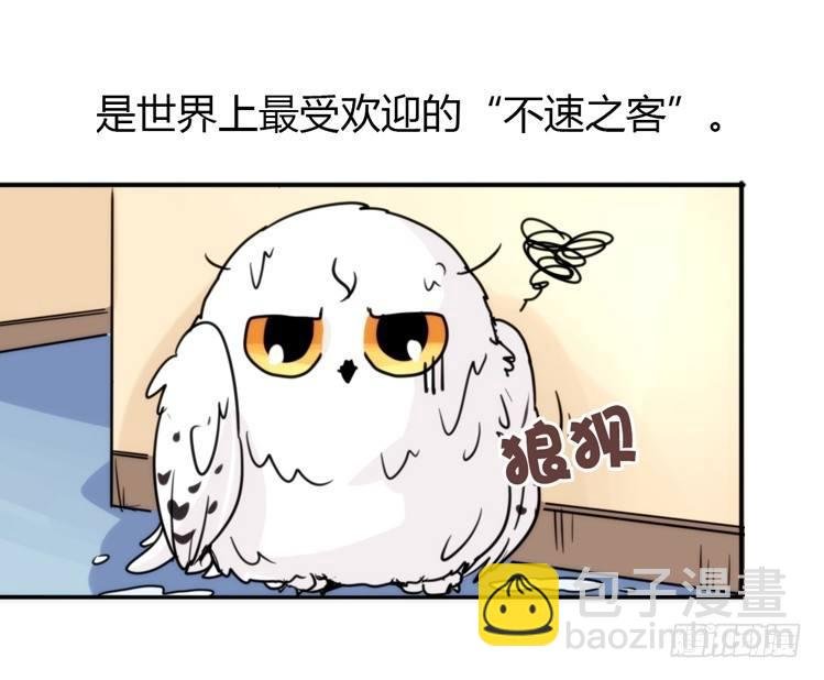 飞吧小少爷：不速之客？