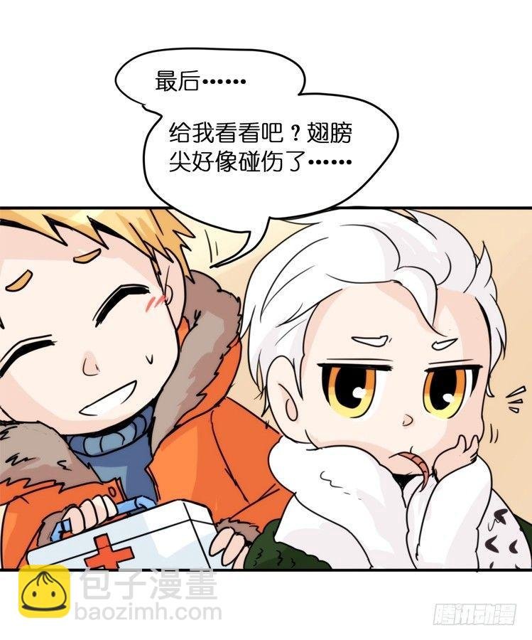 飞吧小少爷：不速之客？