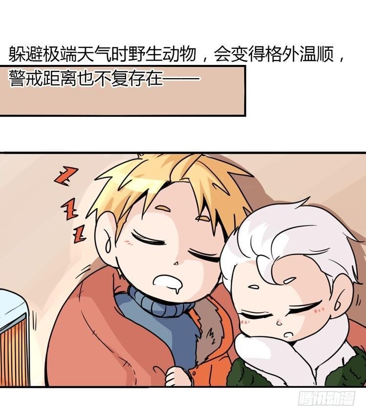 飞吧小少爷：不速之客？