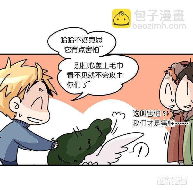 飞吧小少爷：不速之客？