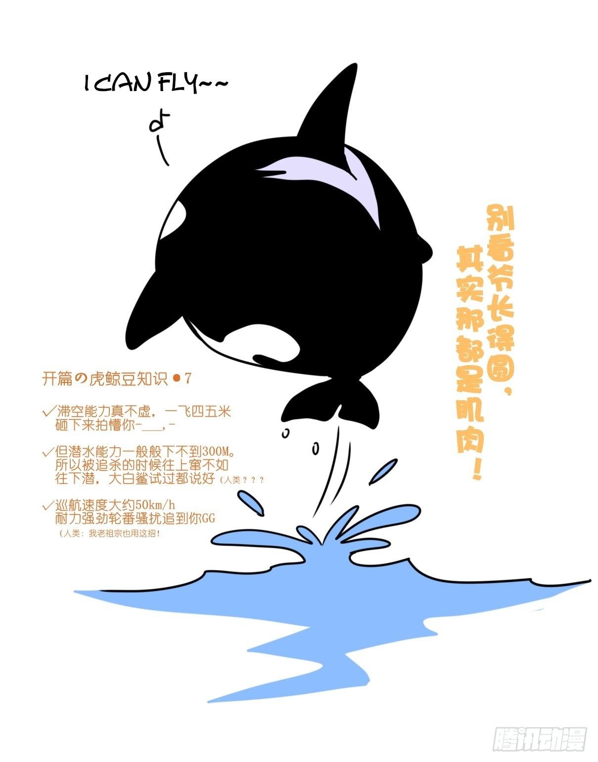 虎鲸篇：这些杀手不太冷07