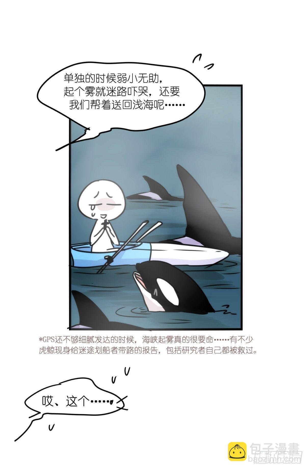 虎鲸篇：这些杀手不太冷07