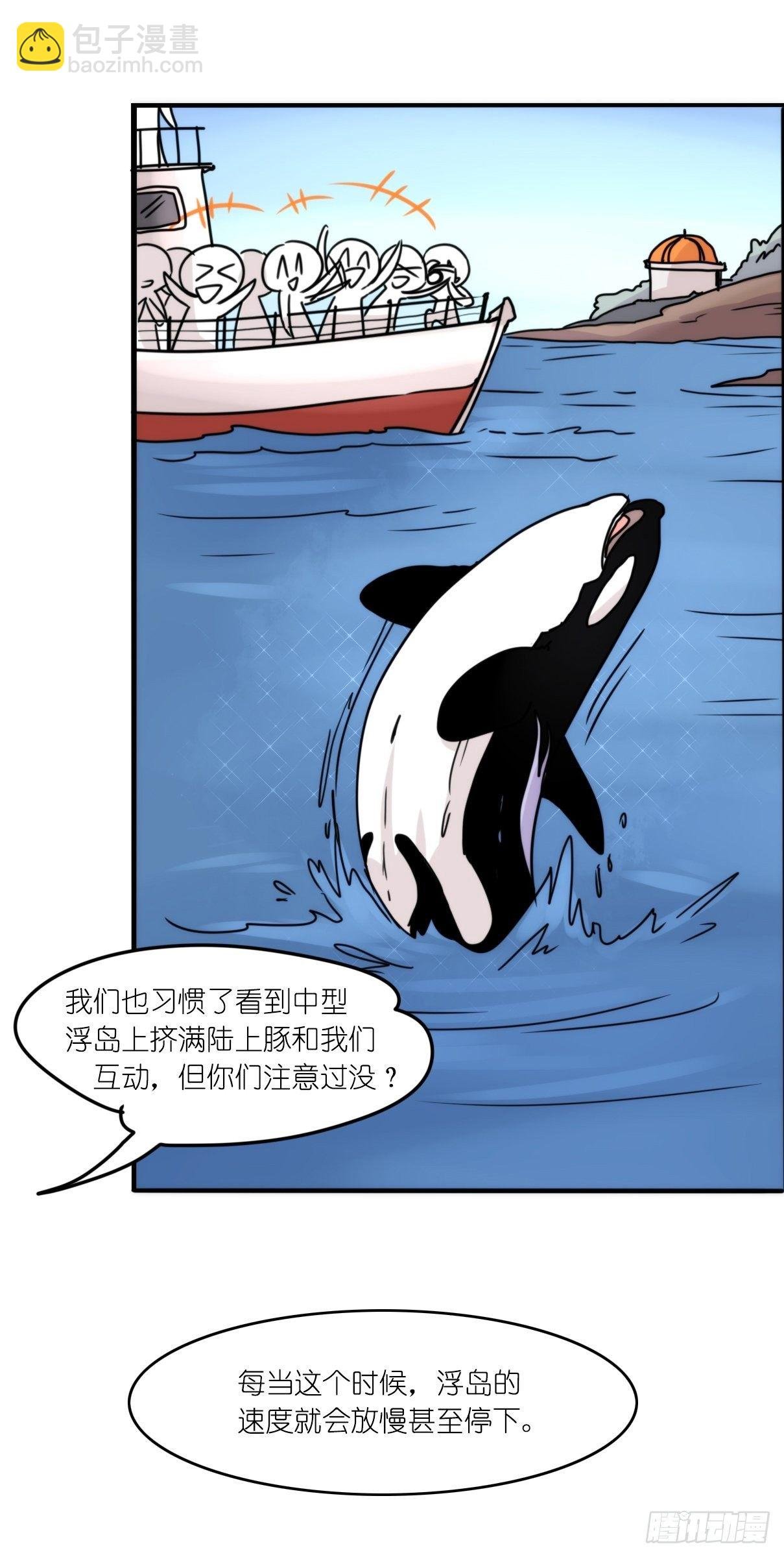 虎鲸篇：这些杀手不太冷07