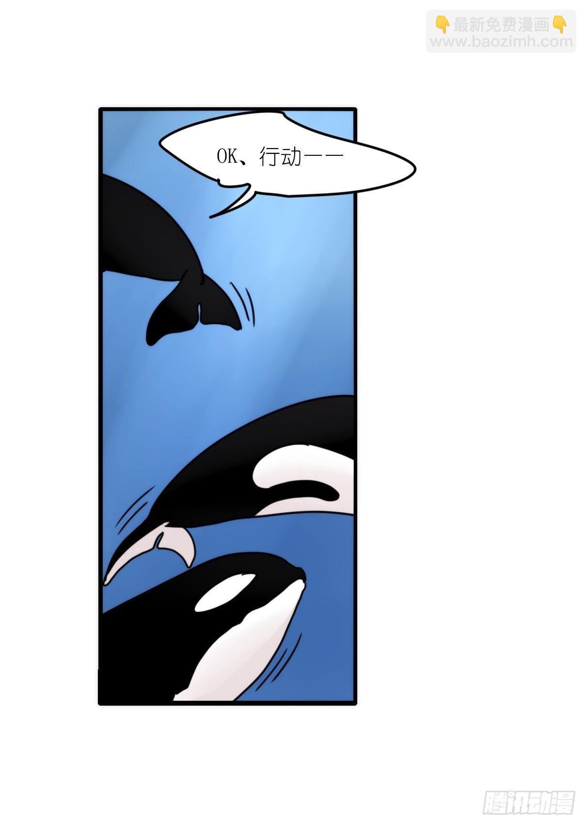 虎鲸篇：这些杀手不太冷07