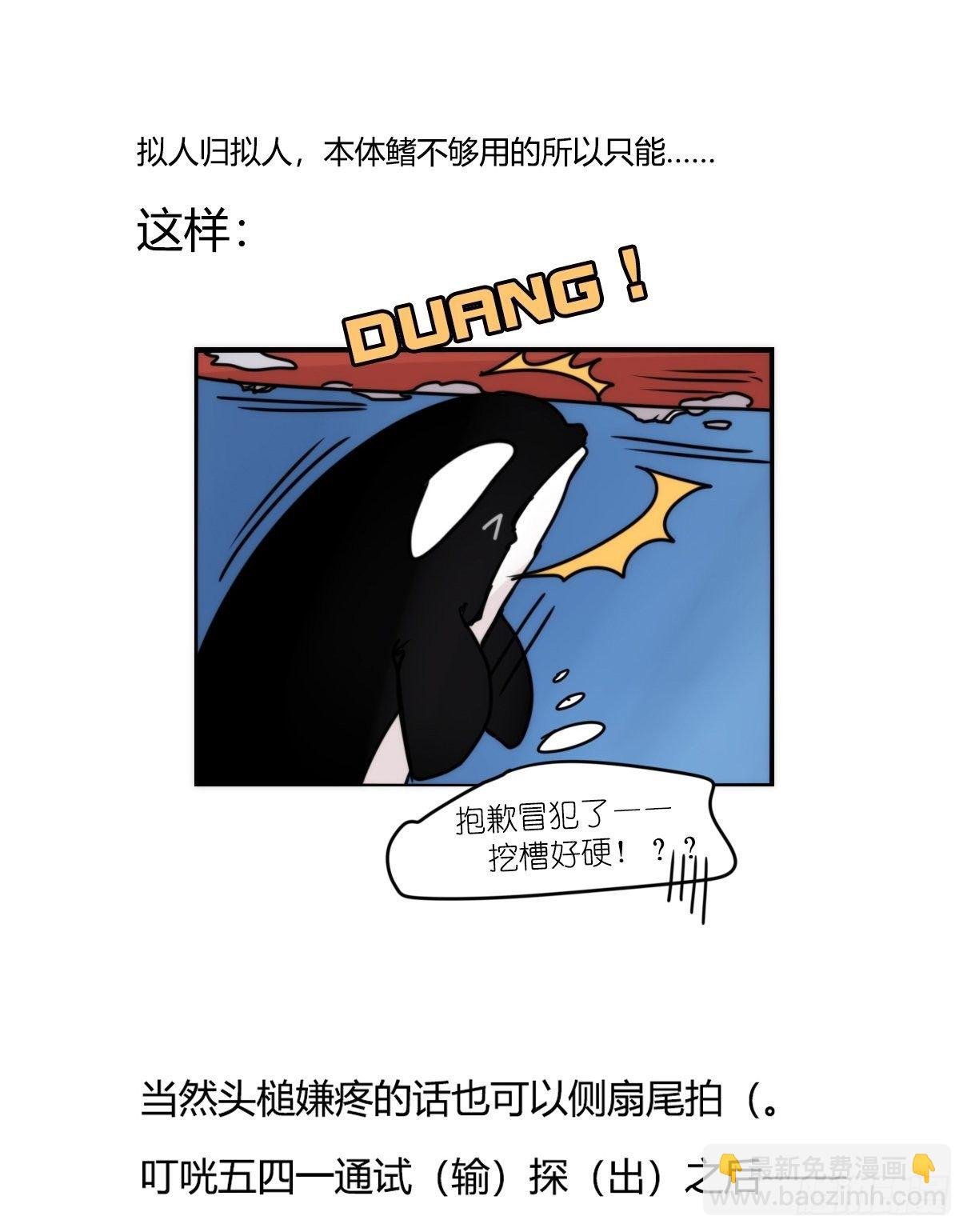 虎鲸篇：这些杀手不太冷07