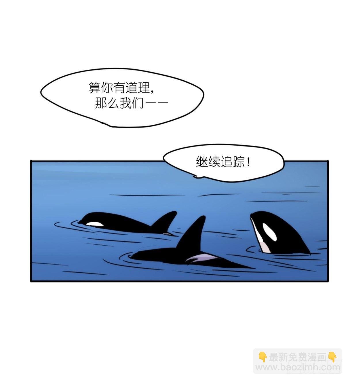 虎鲸篇：这些杀手不太冷07