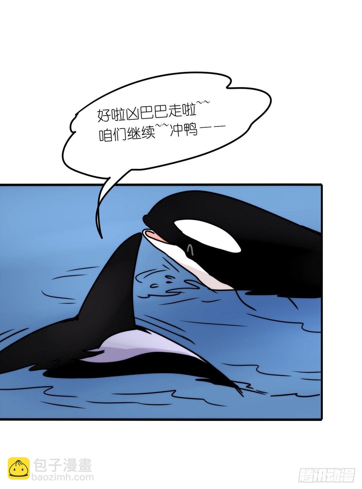 虎鲸篇：这些杀手不太冷08
