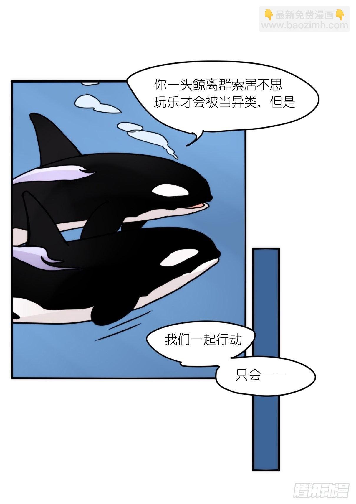 虎鲸篇：这些杀手不太冷09