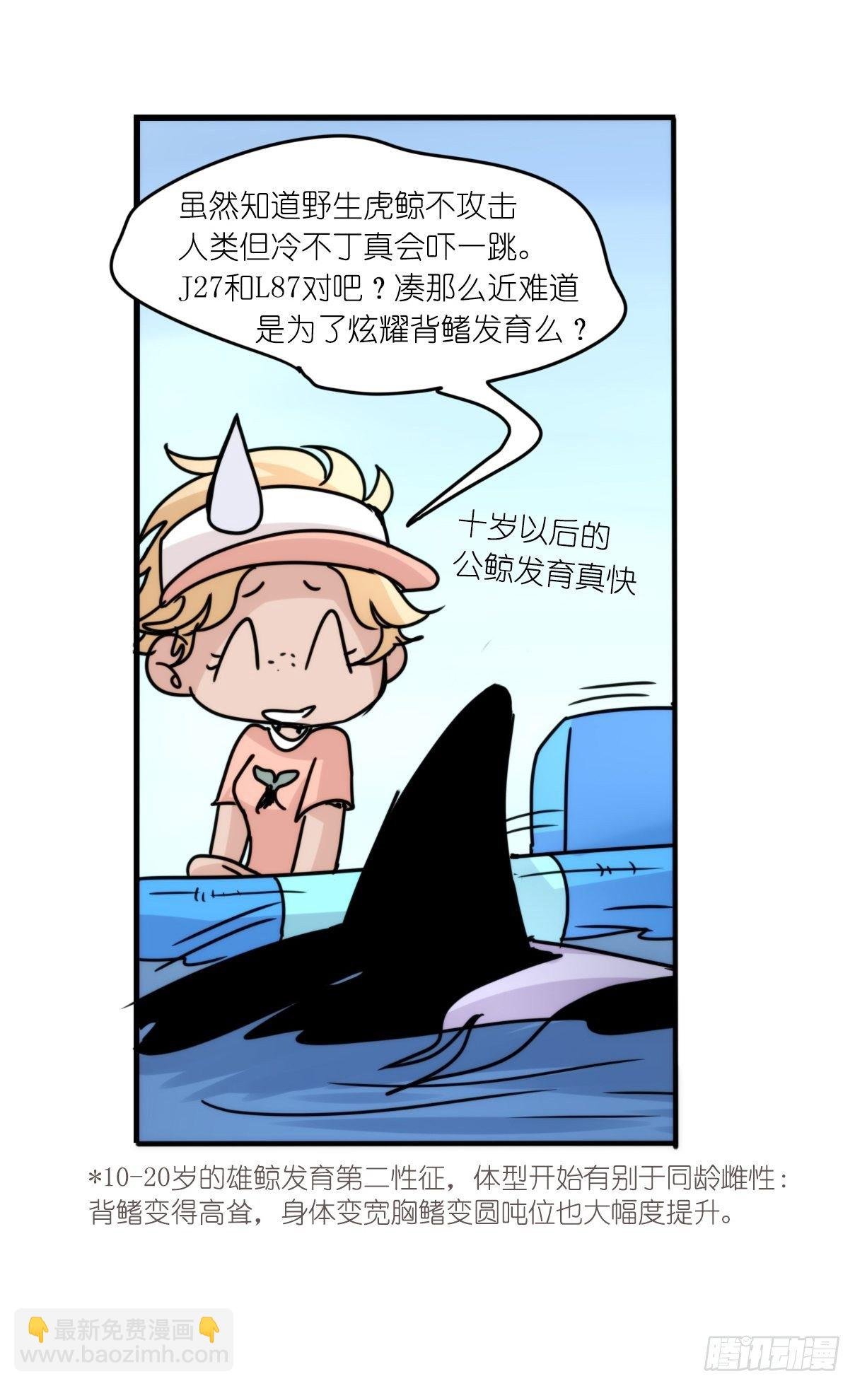 虎鲸篇：这些杀手不太冷09