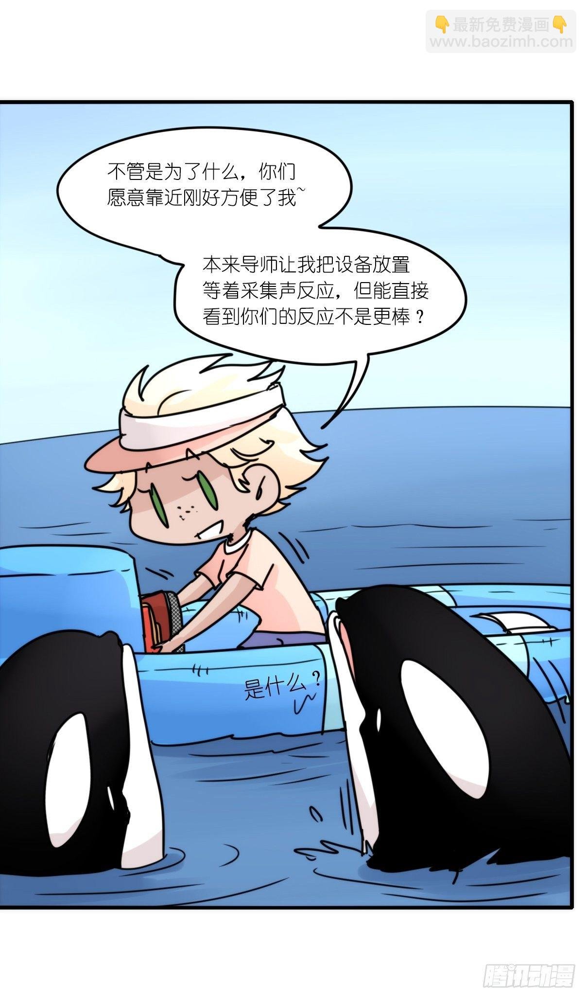 虎鲸篇：这些杀手不太冷09