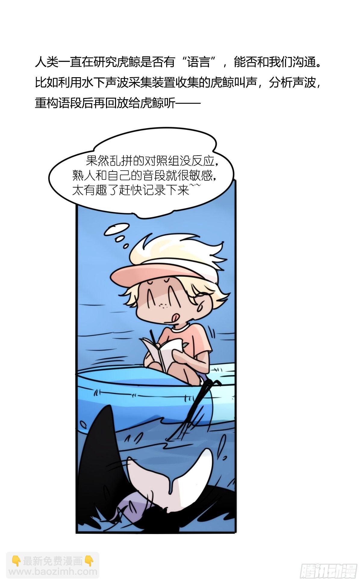 虎鲸篇：这些杀手不太冷09