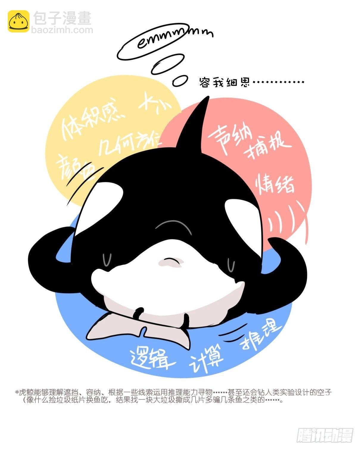 虎鲸篇：这些杀手不太冷10