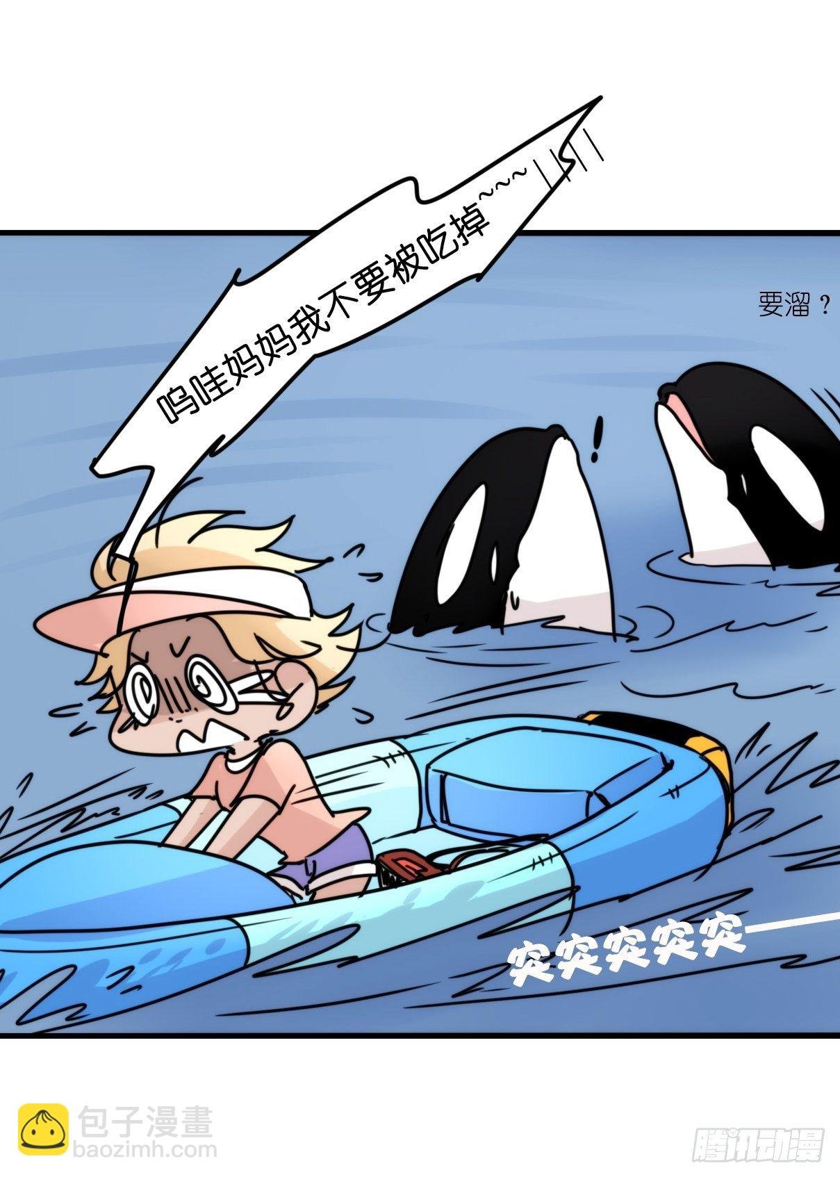 虎鲸篇：这些杀手不太冷10
