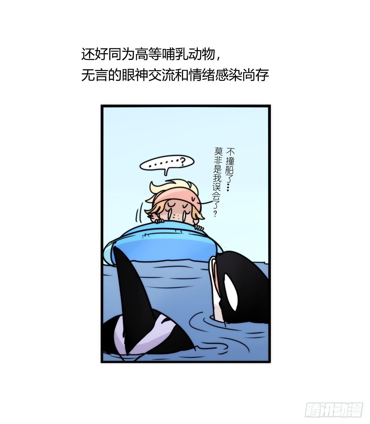 虎鲸篇：这些杀手不太冷10