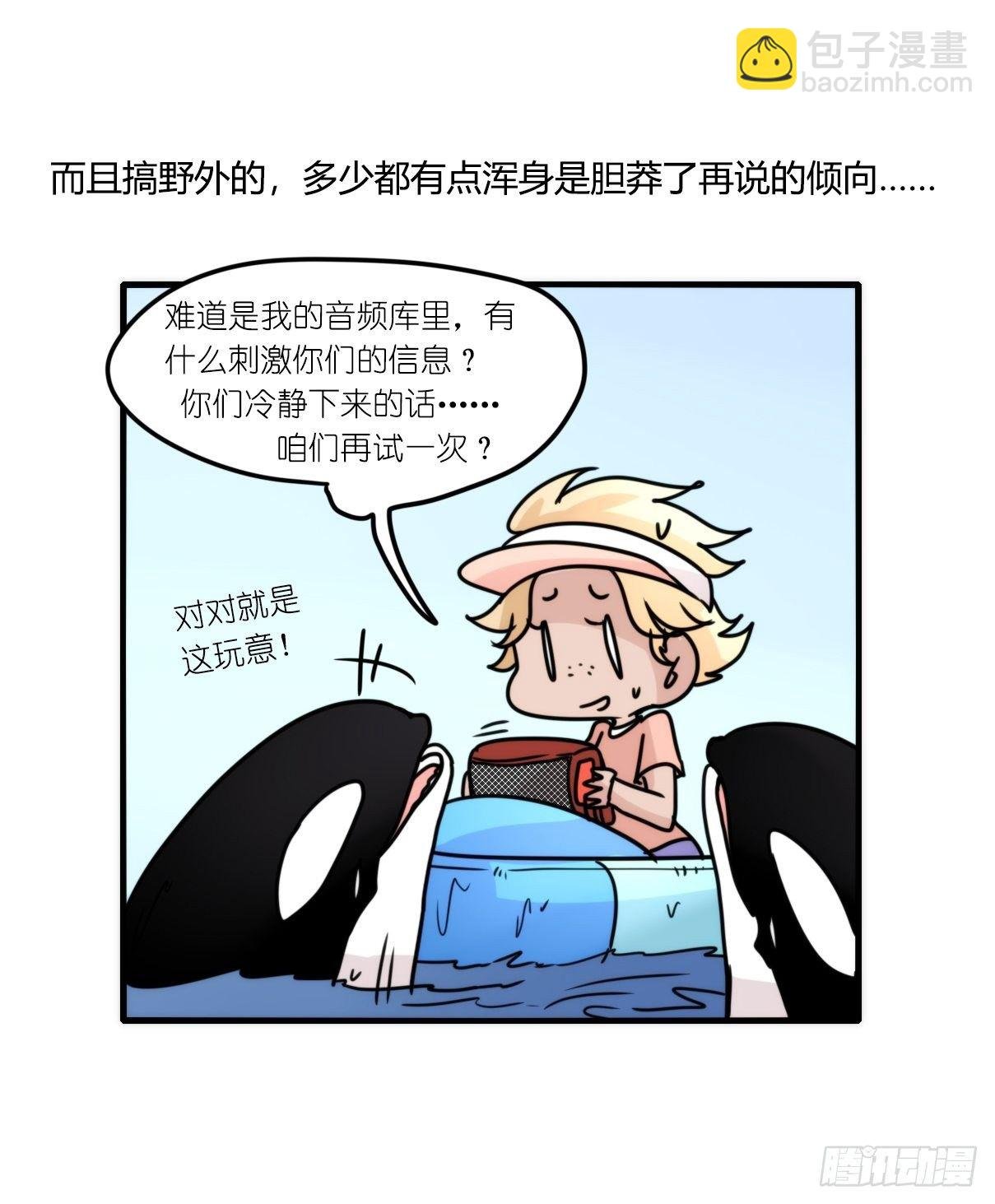 虎鲸篇：这些杀手不太冷10