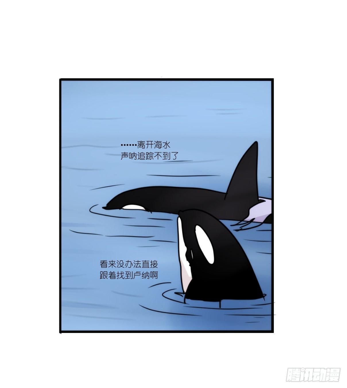 虎鲸篇：这些杀手不太冷10