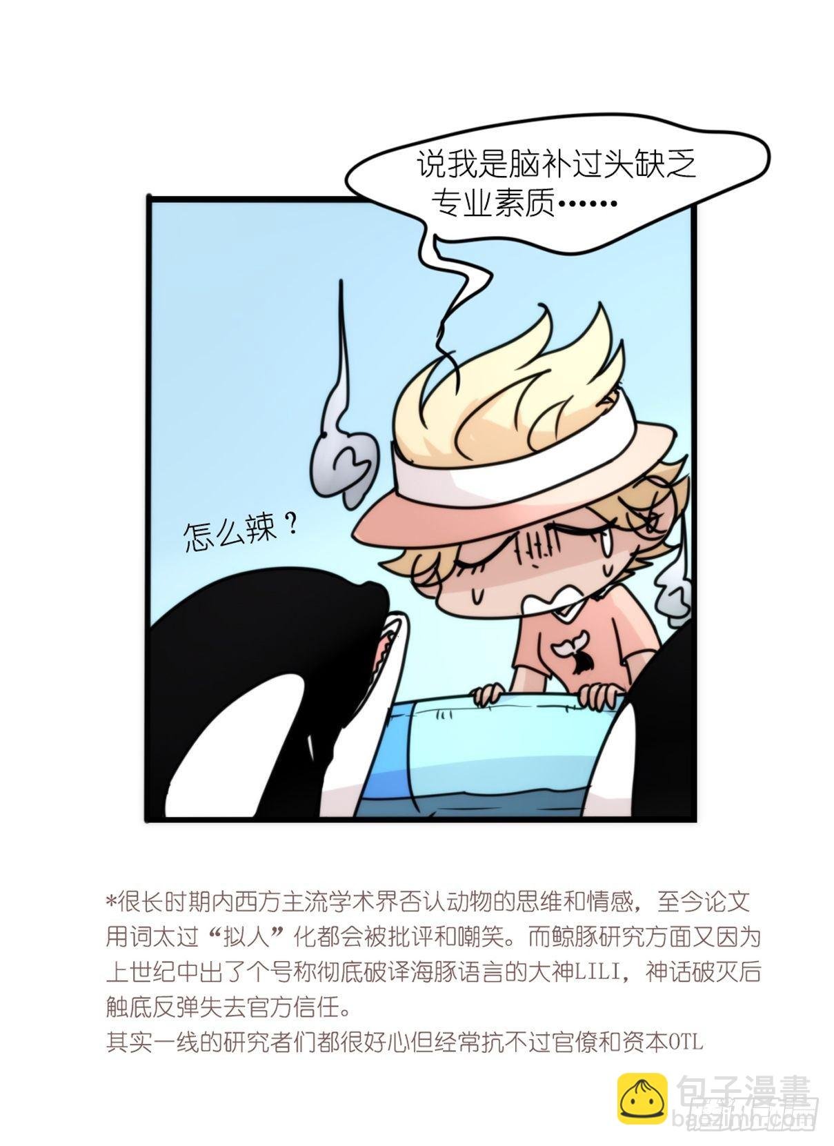 虎鲸篇：这些杀手不太冷11