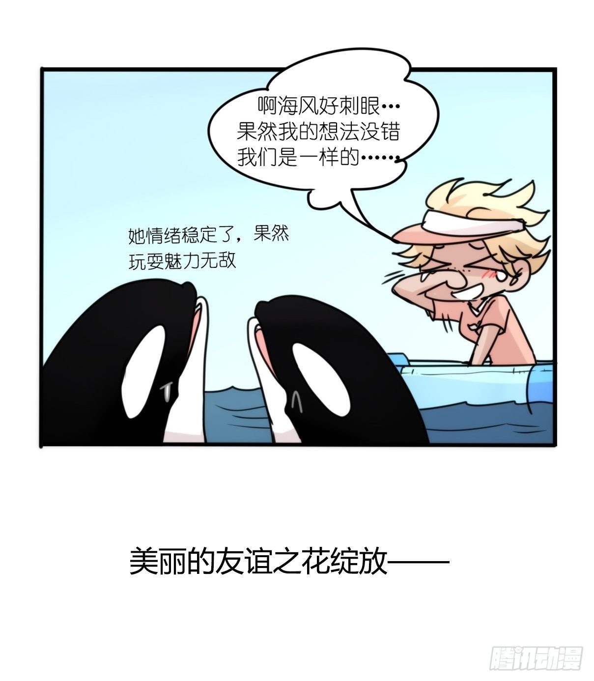 虎鲸篇：这些杀手不太冷11