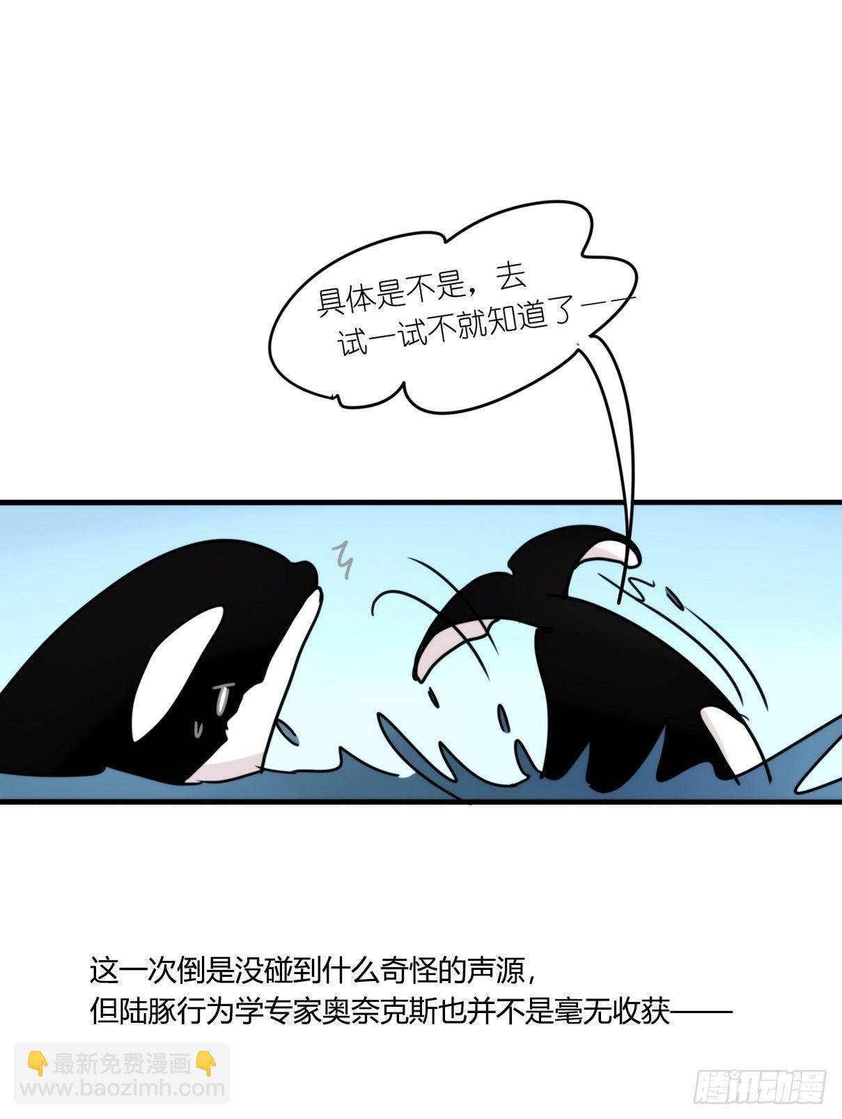 虎鲸篇：这些杀手不太冷11