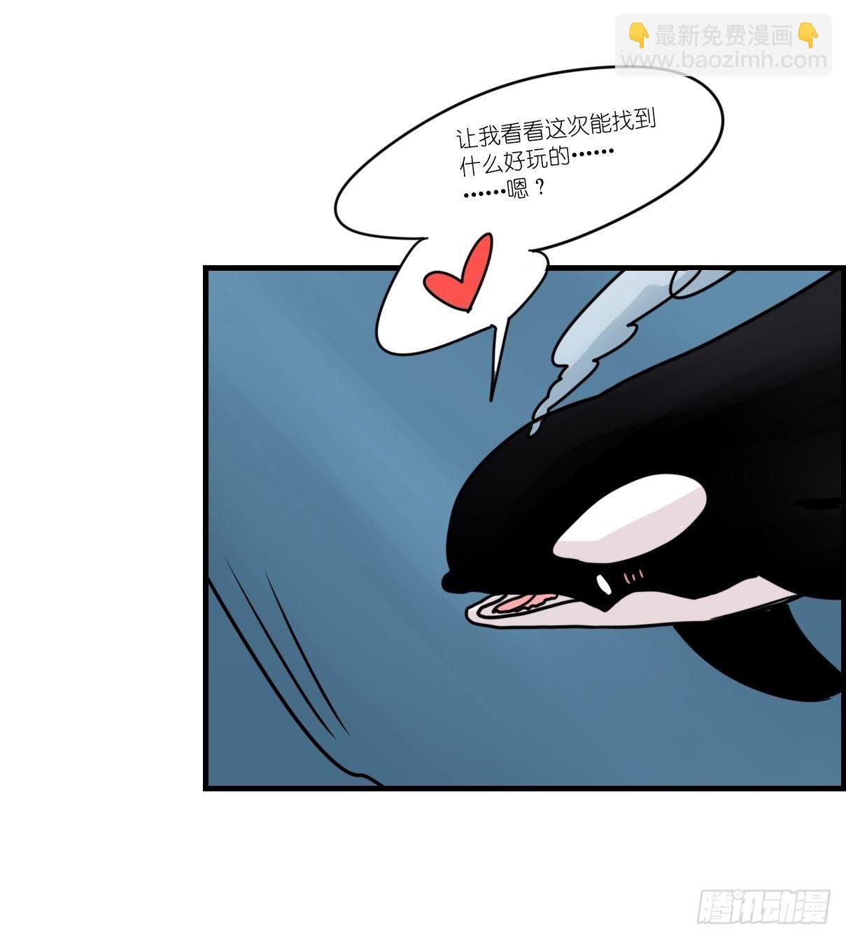 虎鲸篇：这些杀手不太冷11