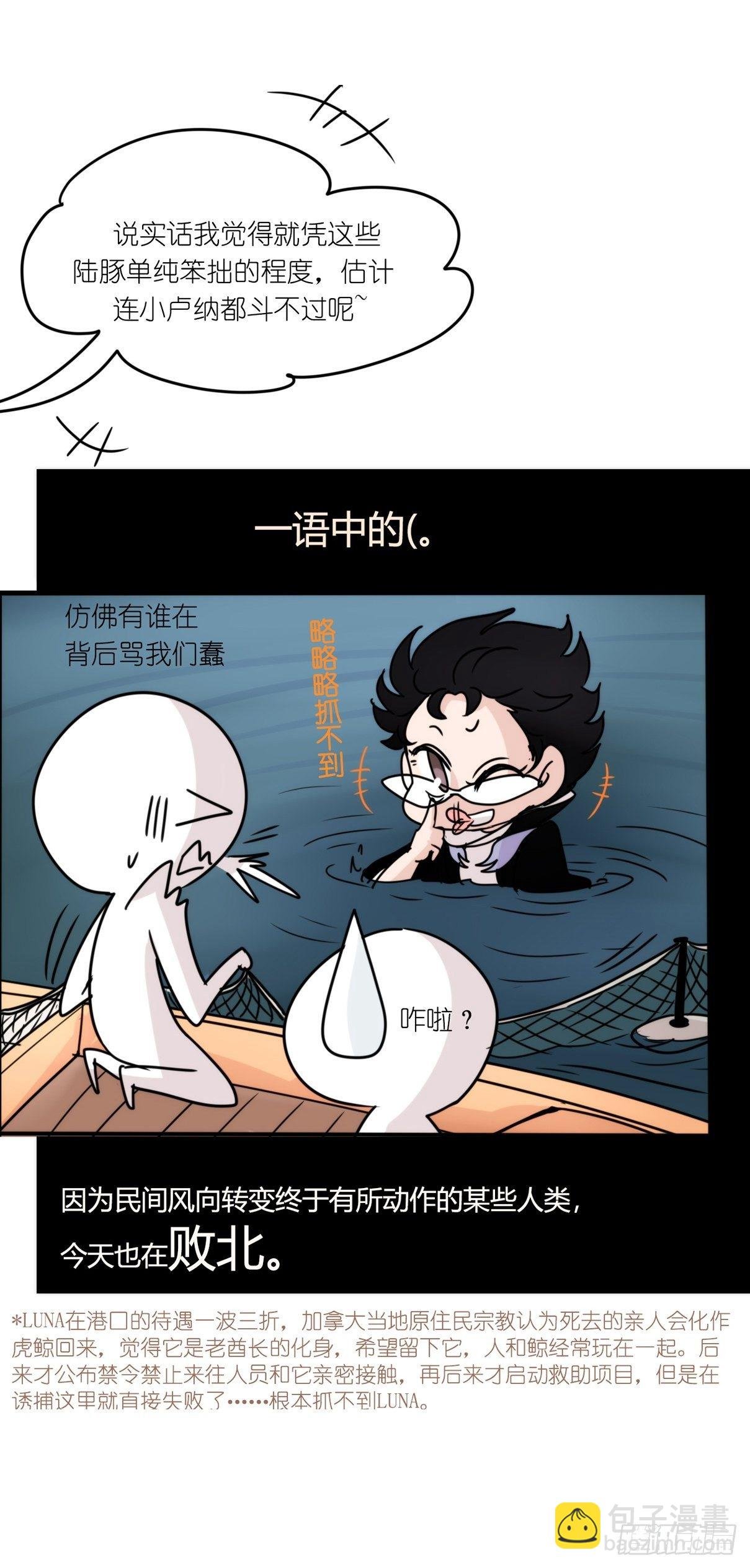 虎鲸篇：这些杀手不太冷11