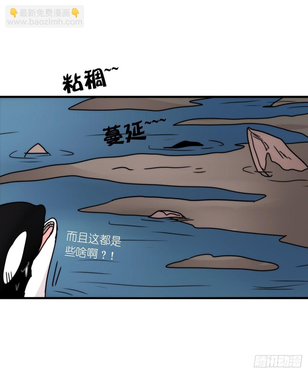虎鲸篇：这些杀手不太冷11