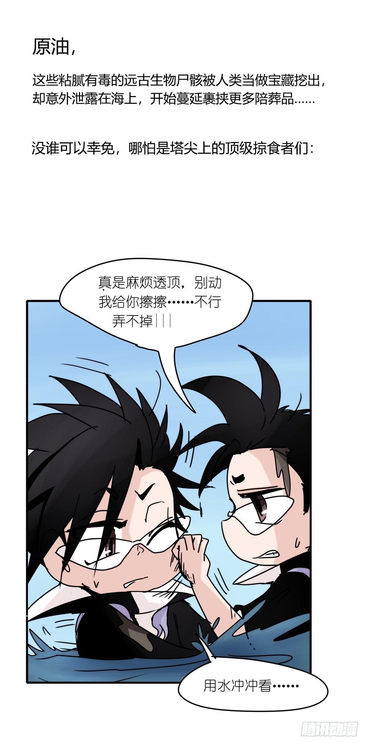 虎鲸篇：这些杀手不太冷11