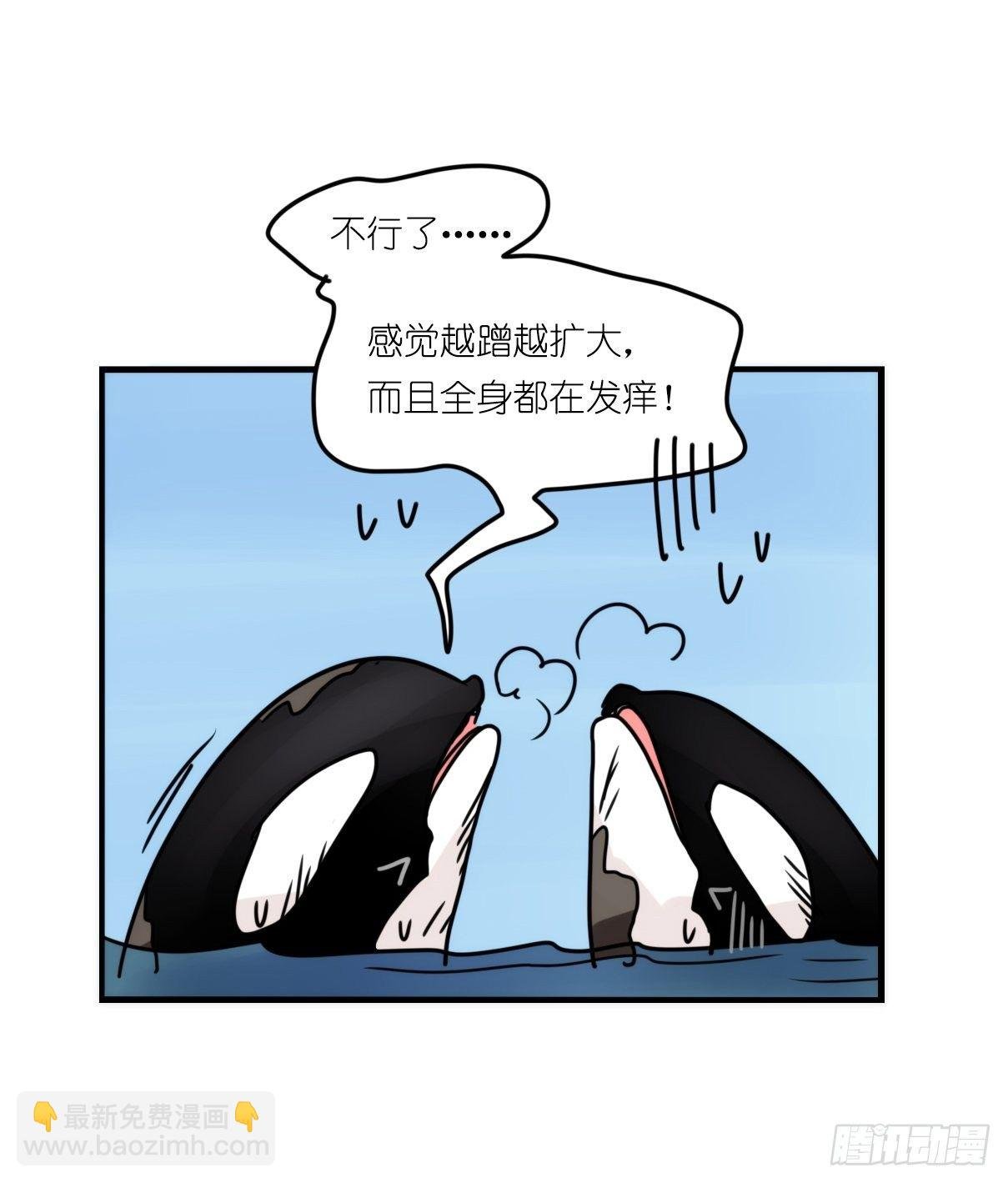 虎鲸篇：这些杀手不太冷11