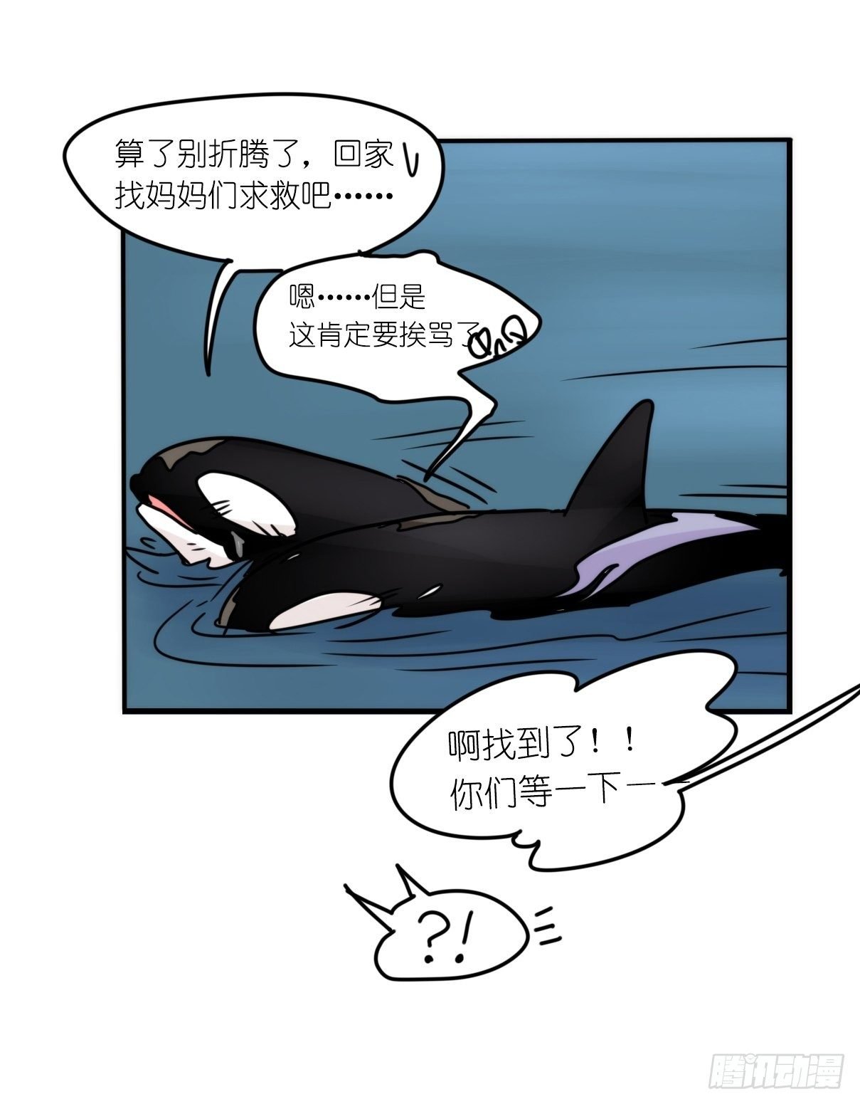 虎鲸篇：这些杀手不太冷11