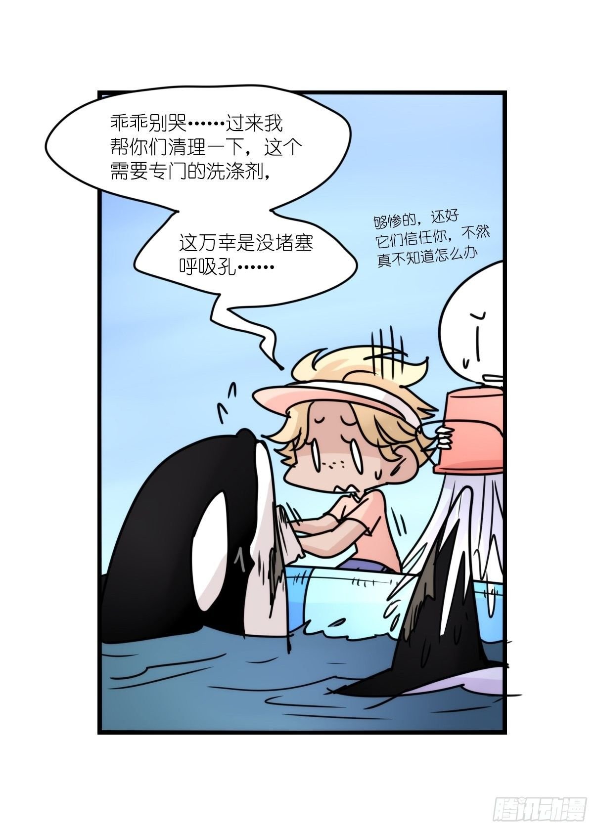 虎鲸篇：这些杀手不太冷11
