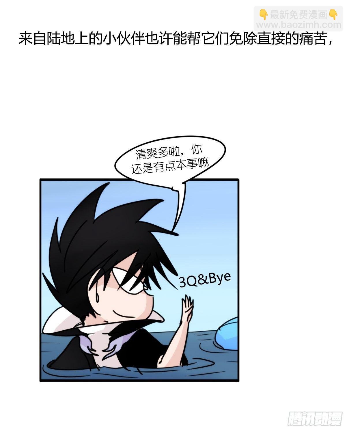 虎鲸篇：这些杀手不太冷11