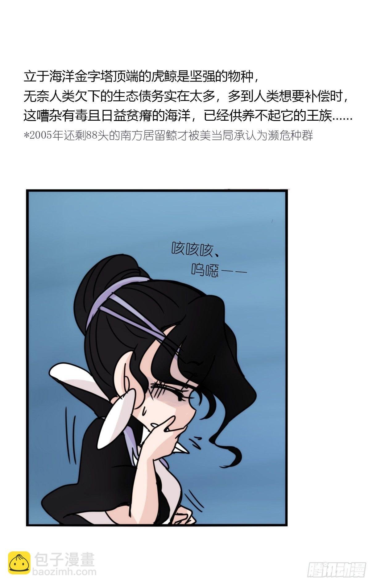 虎鲸篇：这些杀手不太冷12