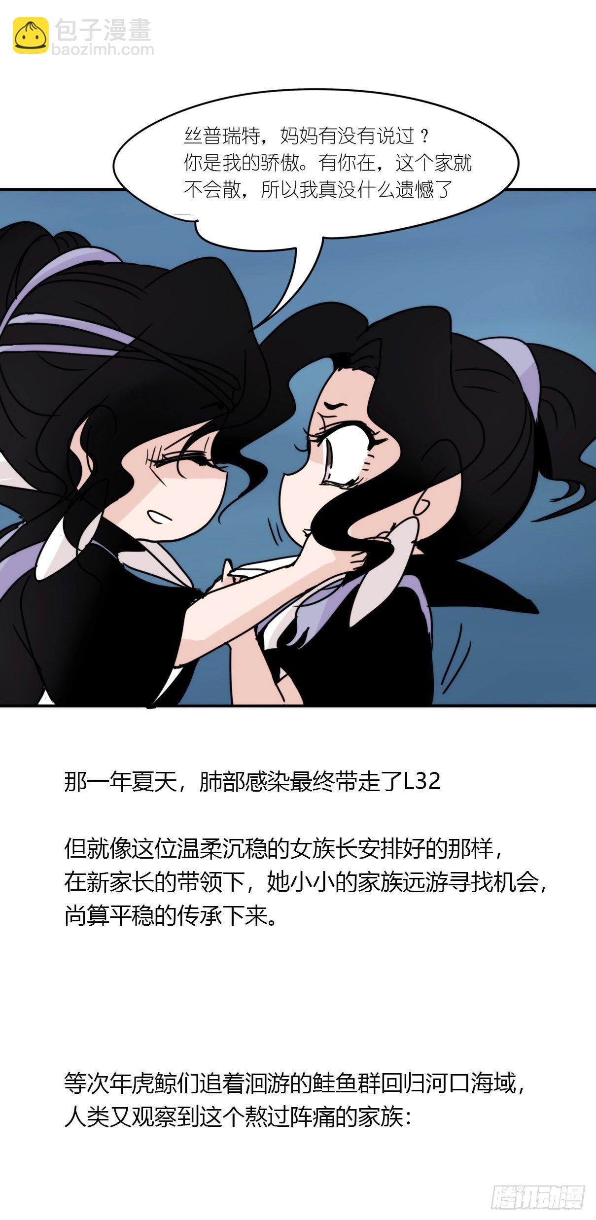 虎鲸篇：这些杀手不太冷12