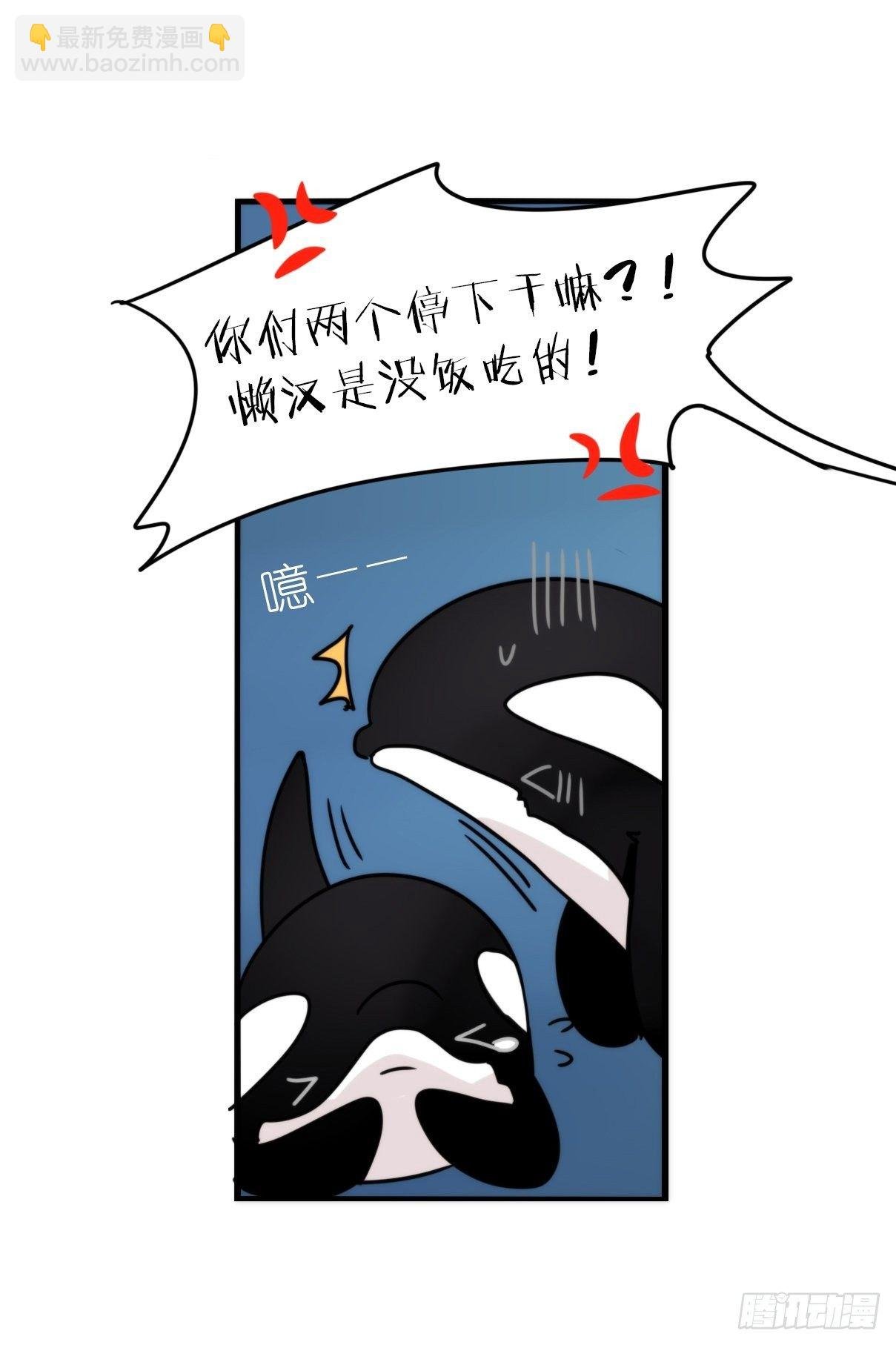 虎鲸篇：这些杀手不太冷12