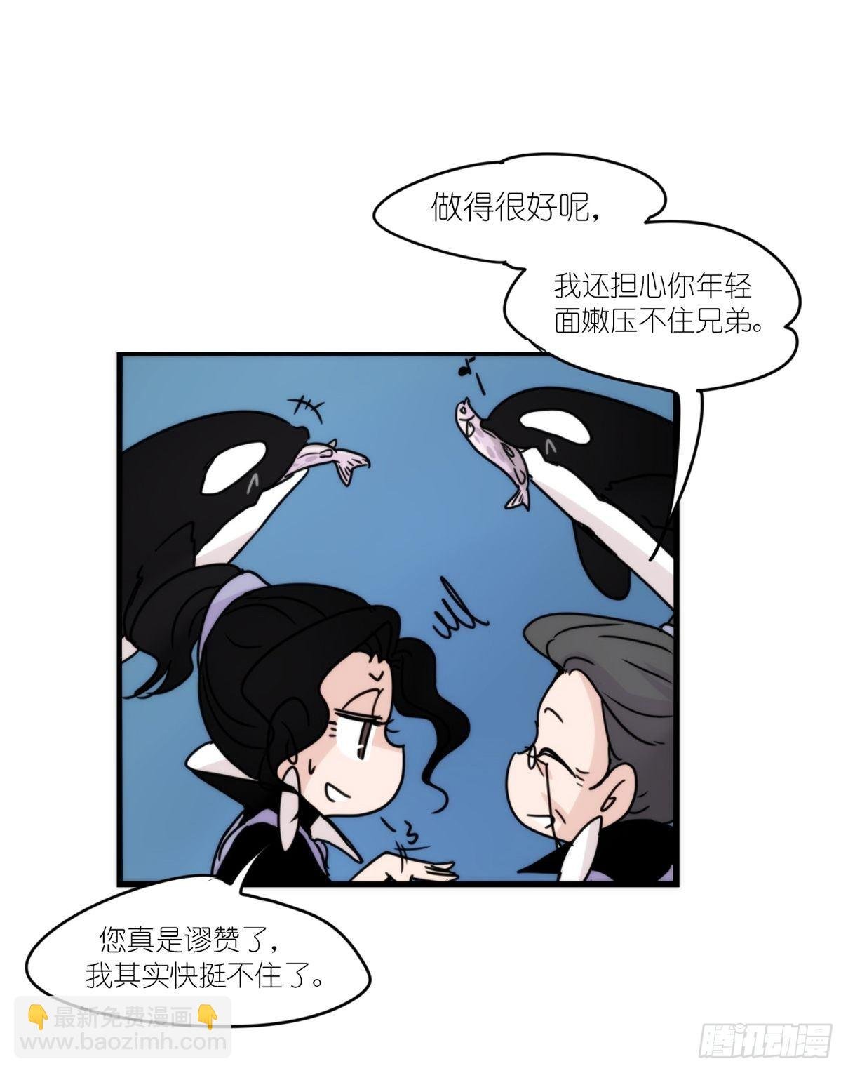 虎鲸篇：这些杀手不太冷12
