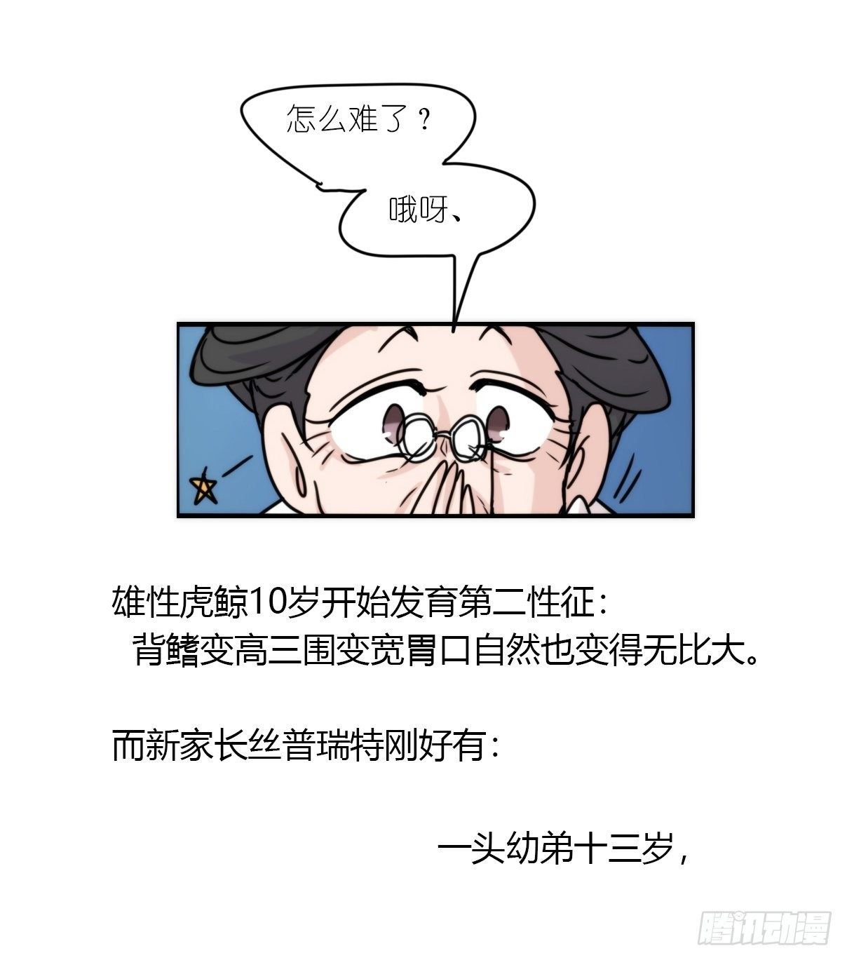 虎鲸篇：这些杀手不太冷12