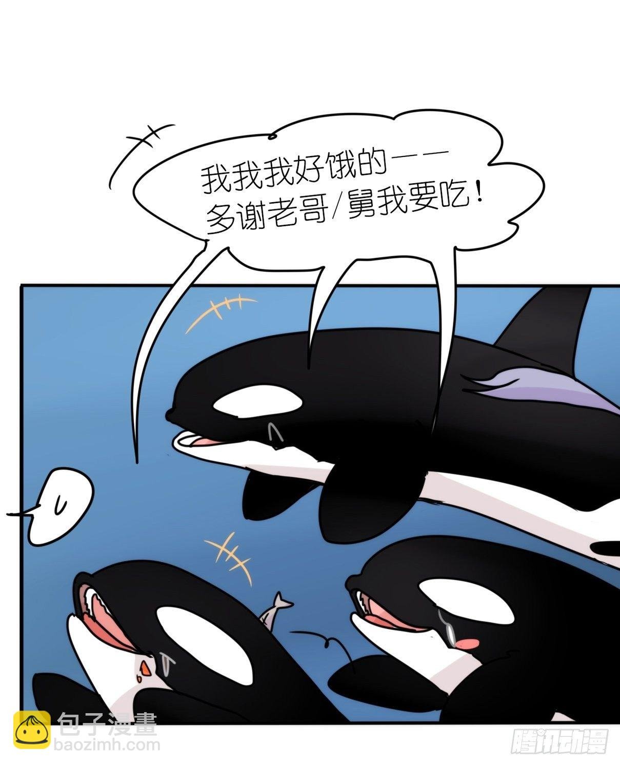 虎鲸篇：这些杀手不太冷12