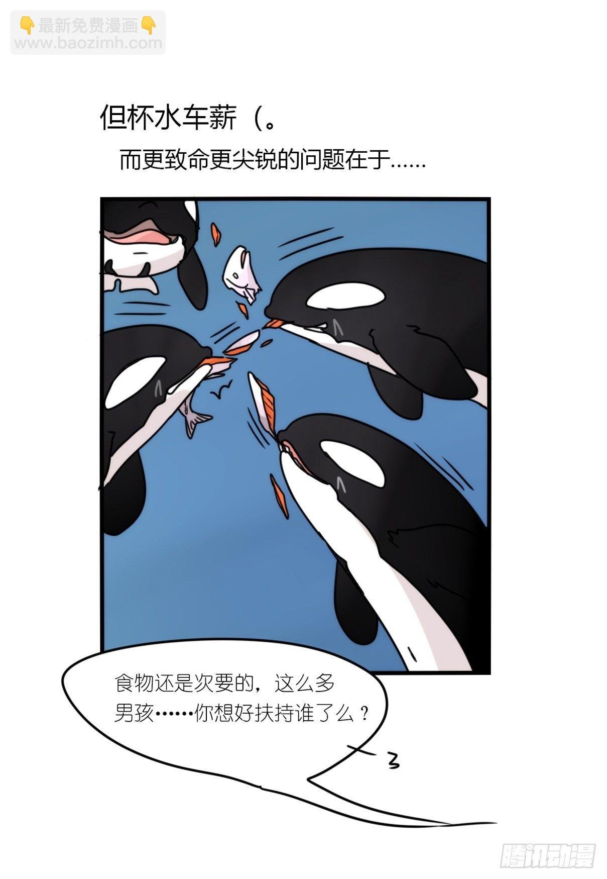 虎鲸篇：这些杀手不太冷12