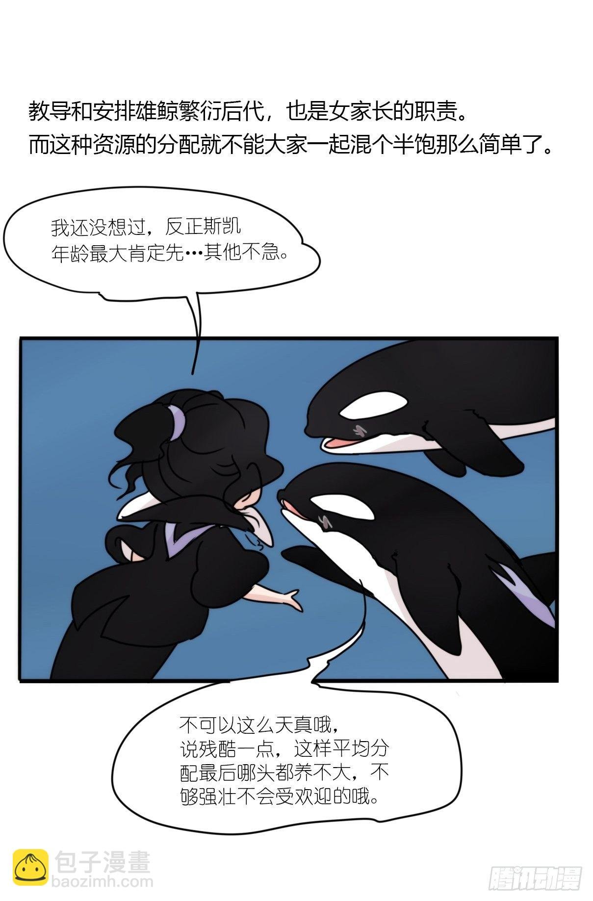 虎鲸篇：这些杀手不太冷12