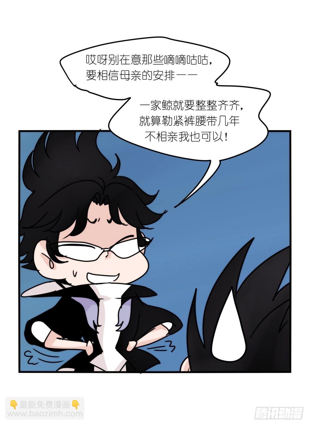 虎鲸篇：这些杀手不太冷12