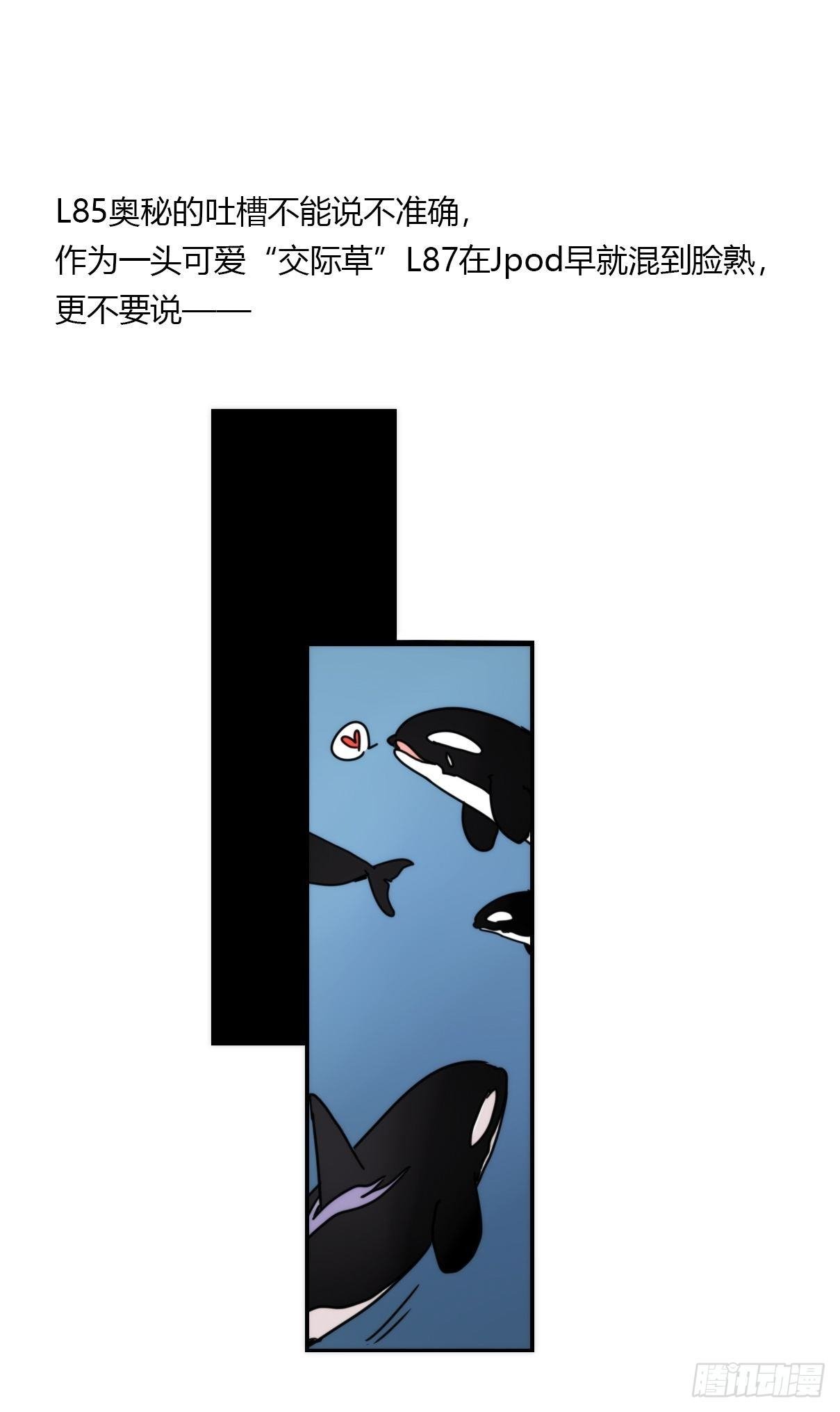 虎鲸篇：这些杀手不太冷12