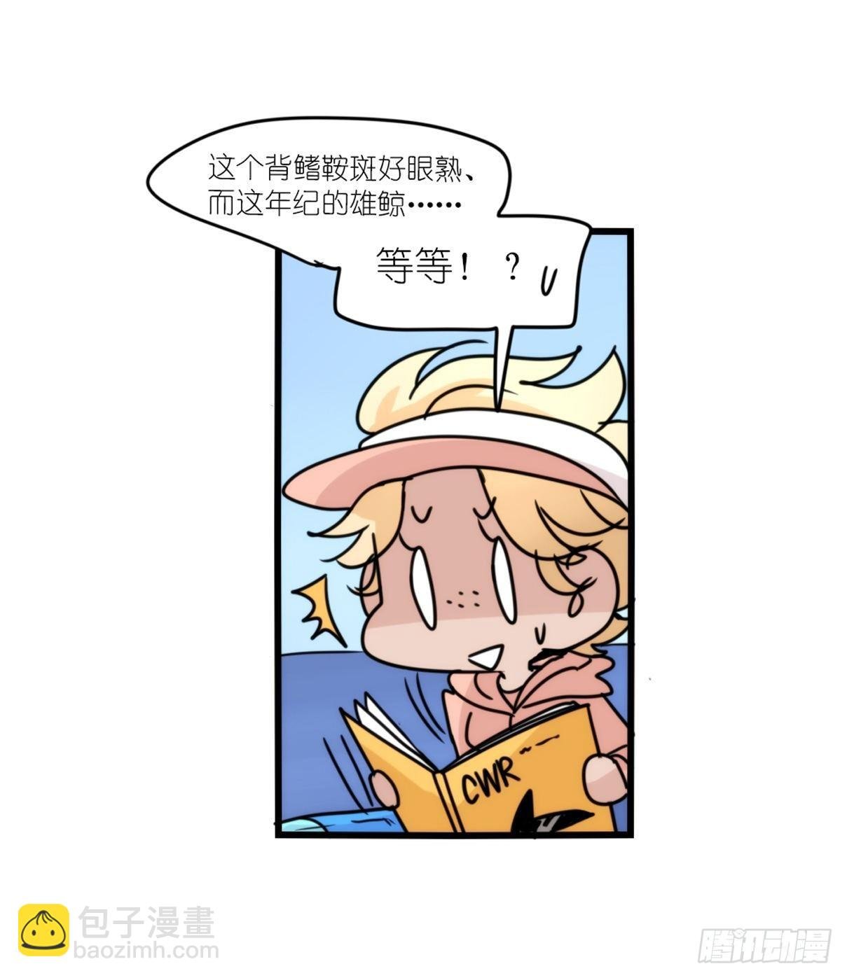虎鲸篇：这些杀手不太冷14