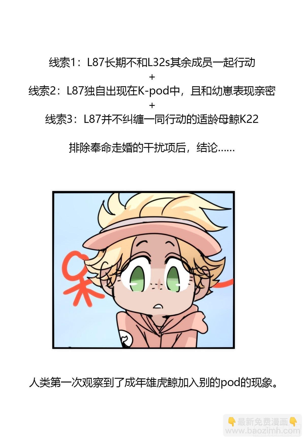 虎鲸篇：这些杀手不太冷14