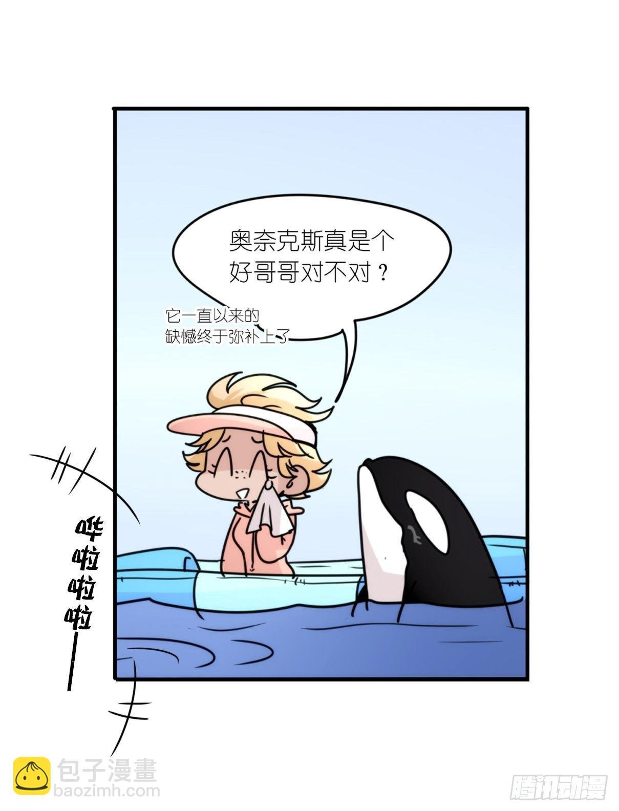 虎鲸篇：这些杀手不太冷14