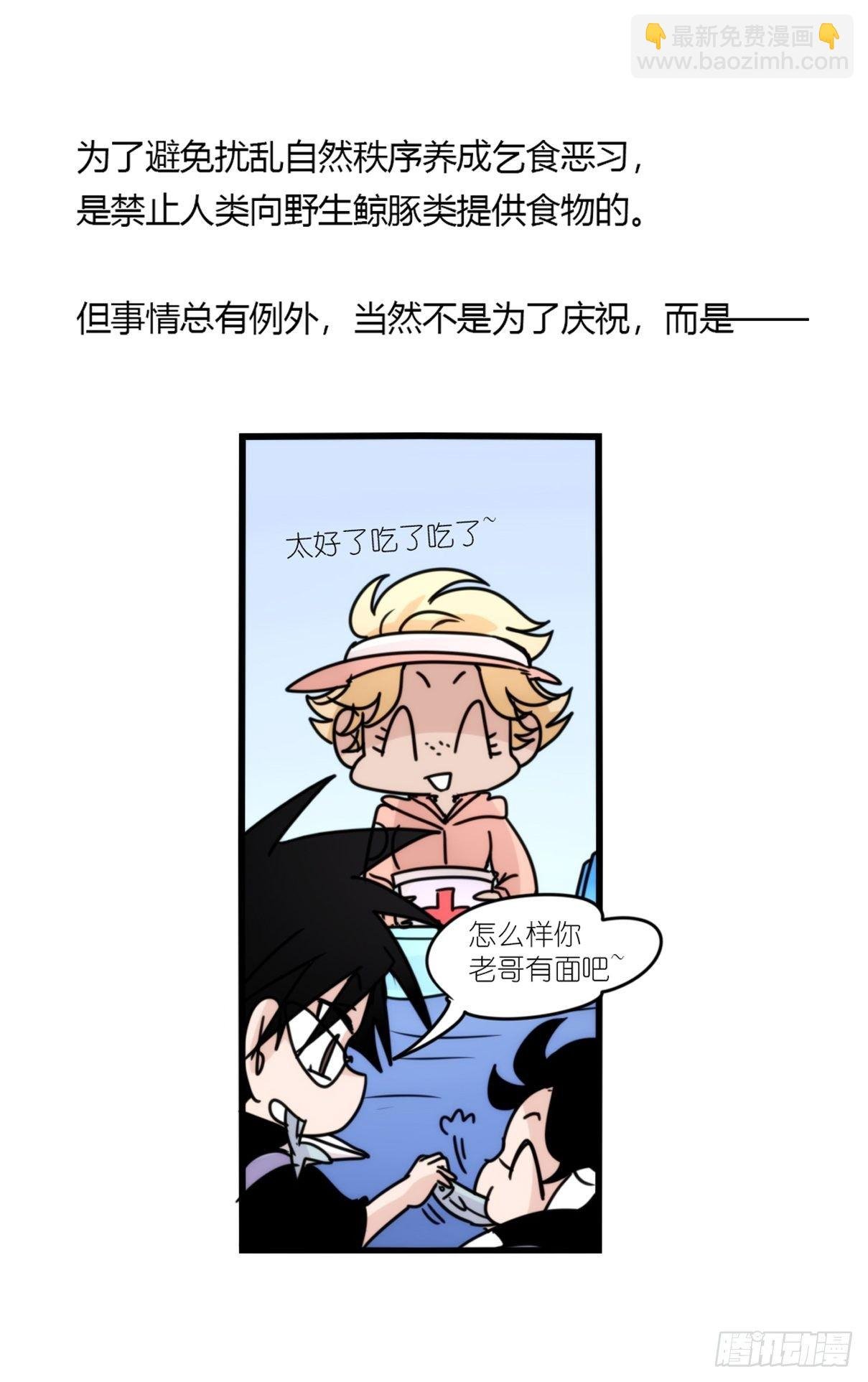 虎鲸篇：这些杀手不太冷15