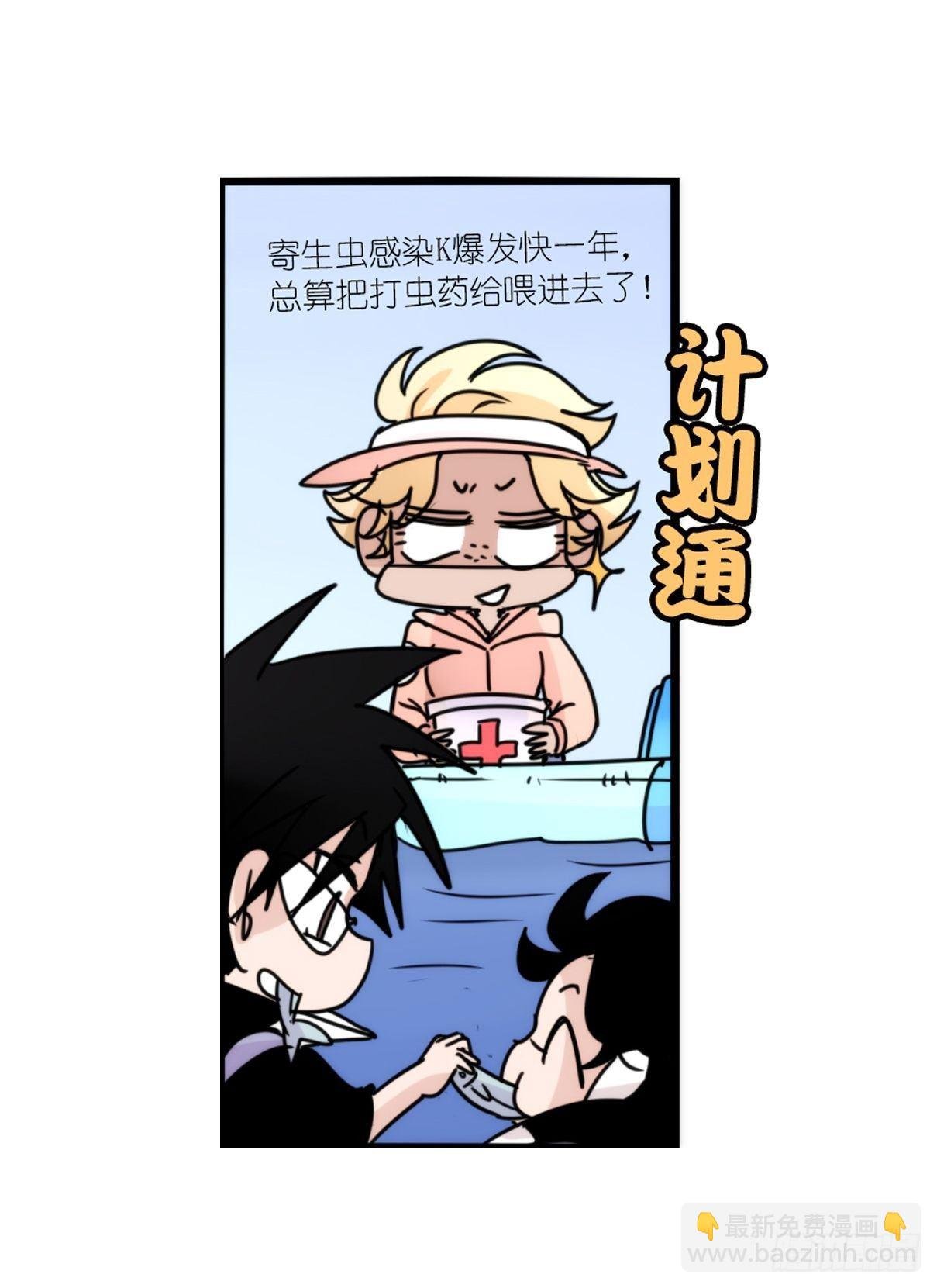 虎鲸篇：这些杀手不太冷15