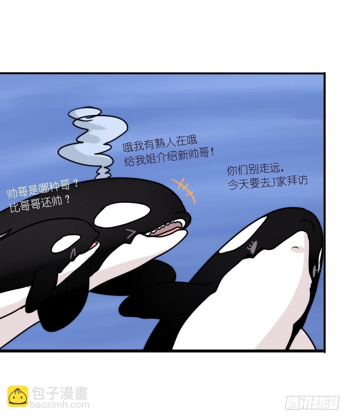 虎鲸篇：这些杀手不太冷15