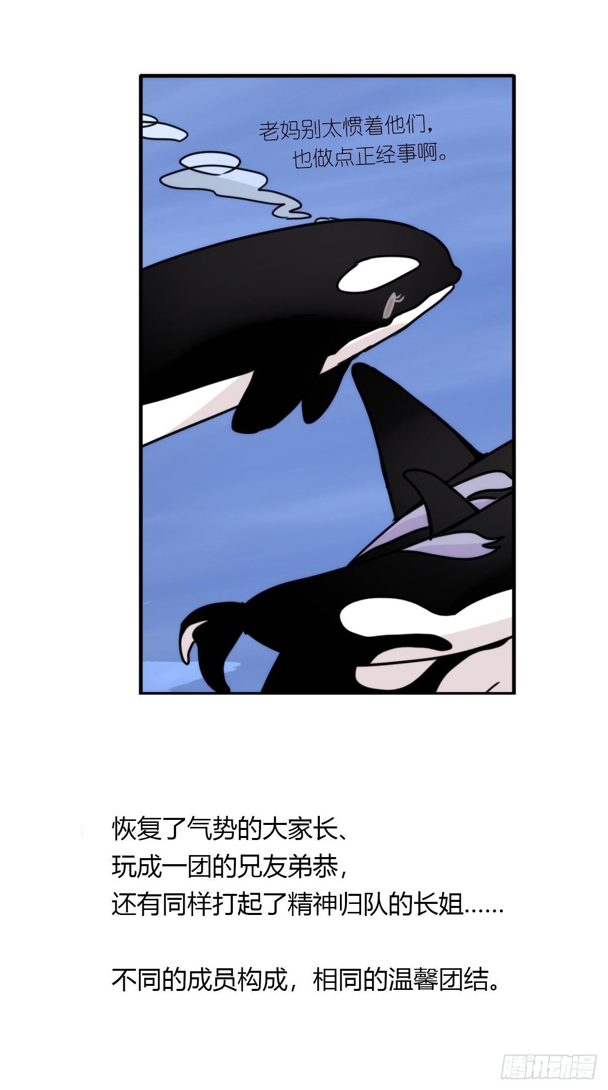 虎鲸篇：这些杀手不太冷15