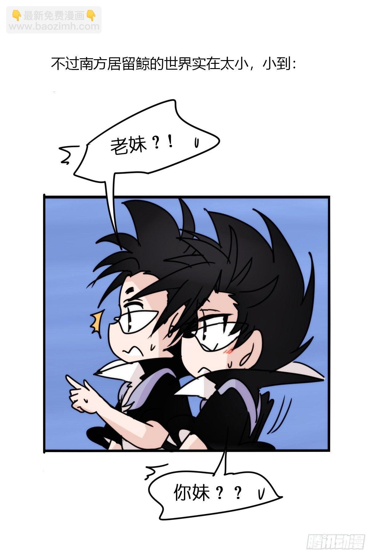 虎鲸篇：这些杀手不太冷15