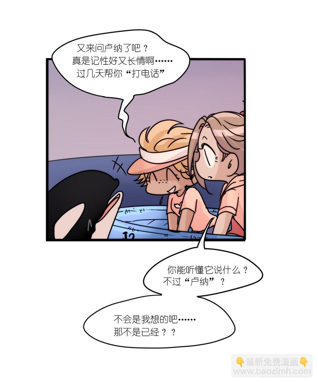 虎鲸篇：这些杀手不太冷15